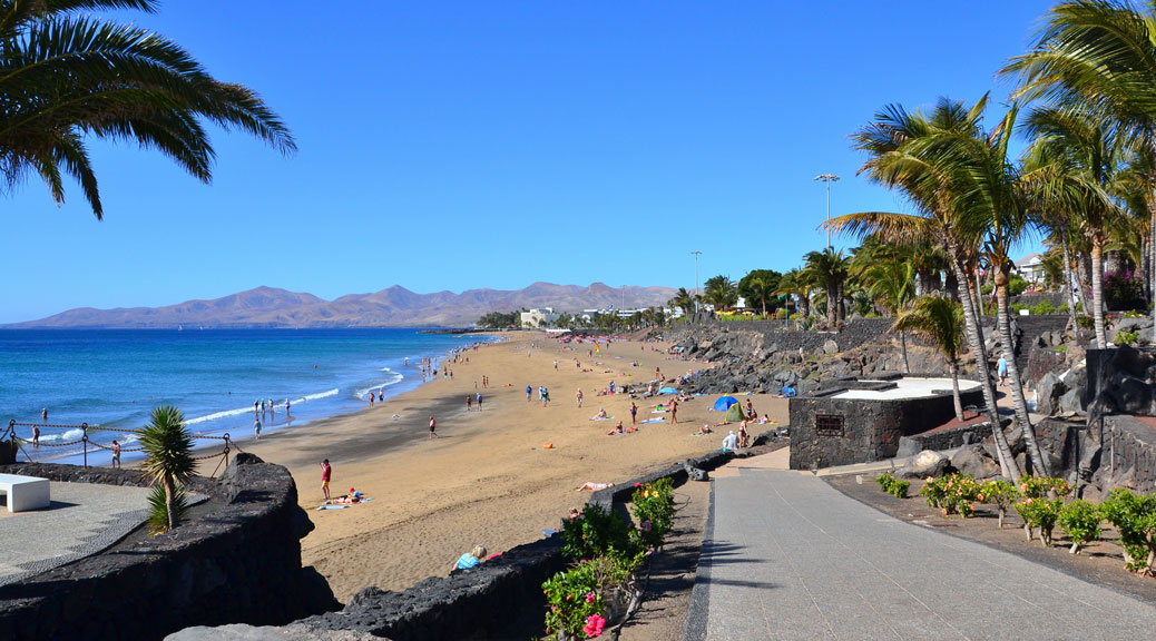 amazing beautiful beach and palm trees in a sunny day lanzarote