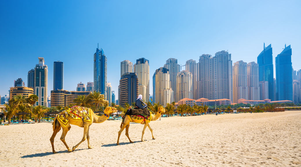 The camels on Jumeirah beach and skyscrapers in the backround in Dubai,Dubai,United Arab Emirates