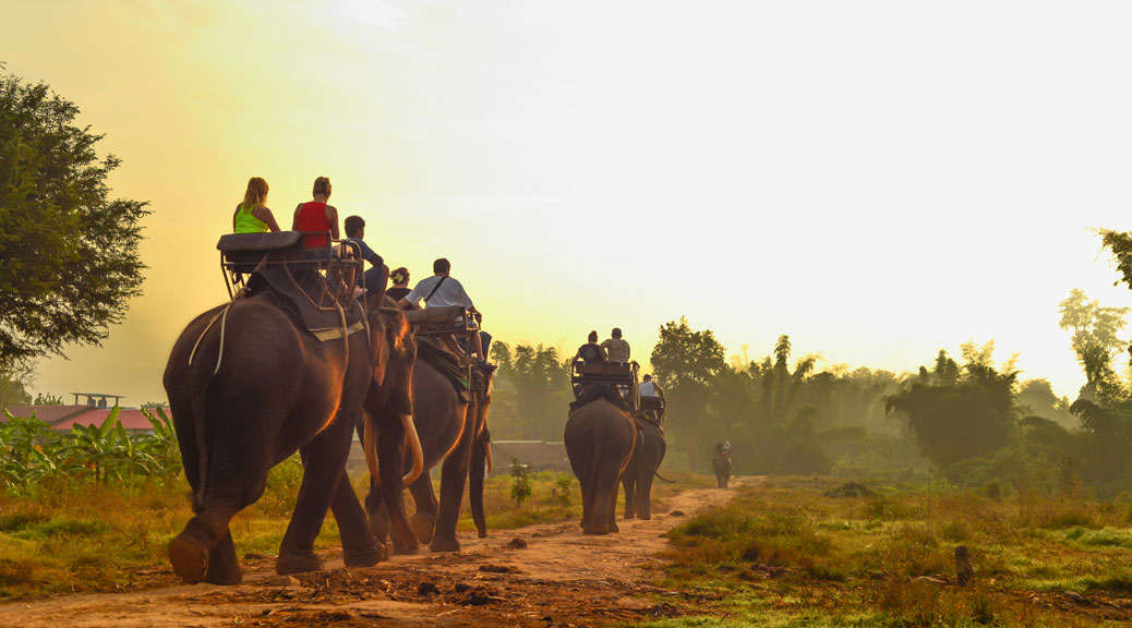 Tourists on an ride elephant tour in the forest