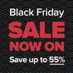 black friday holidays sale 