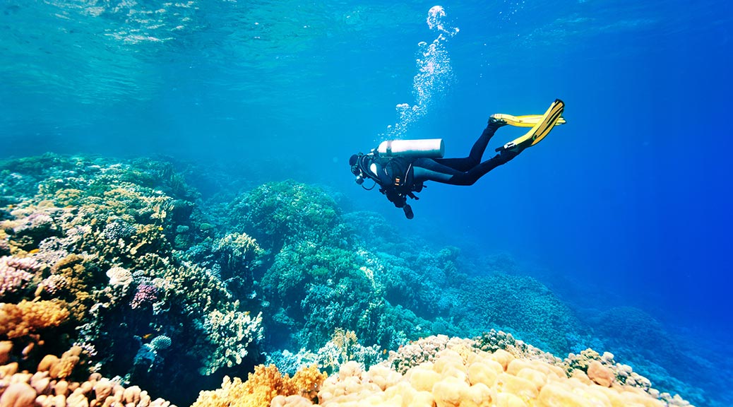 Scuba diving in the reef